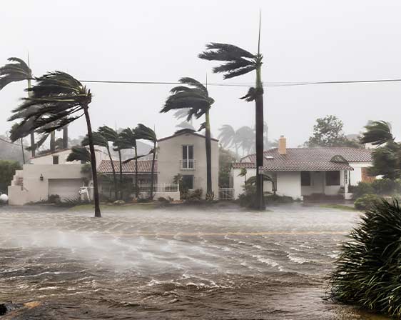 Top Claims Consultants Top-claims-hurricane-damage-3 Wind hurricane  
