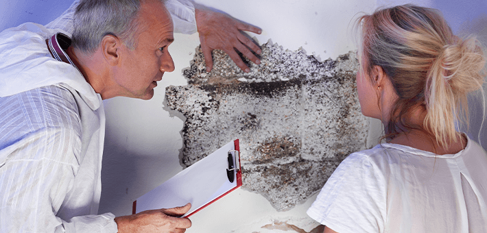 Top Claims Consultants Problem-with-mold Mold in your home or property?  